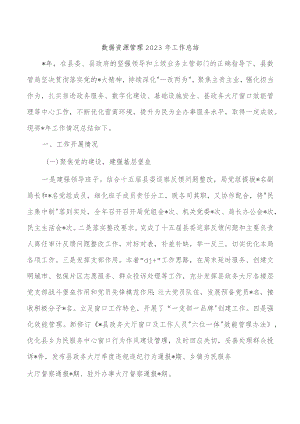 数据资源管理2023年工作总结.docx