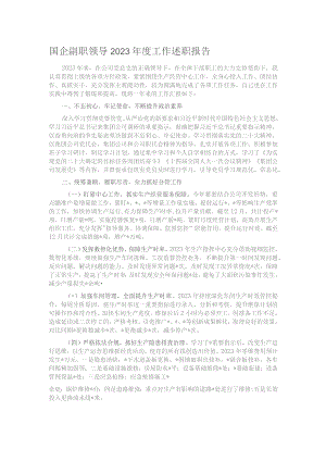 国企副职领导2023年度工作述职报告.docx