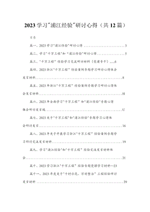 2023学习“浦江经验”研讨心得（共12篇）.docx
