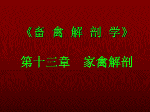 家禽解剖.ppt
