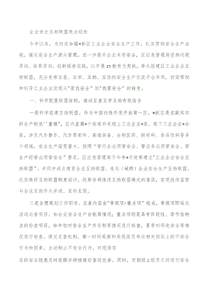 企业安全互助联盟亮点经验.docx