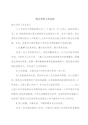转正年终工作总结.docx