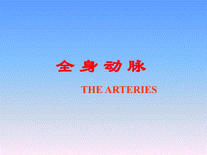 全身动脉动脉.ppt