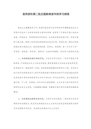 宣传部长第二批主题教育读书班学习感悟.docx