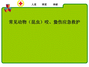 常见动物(昆虫)咬蛰伤应急救护精要.ppt