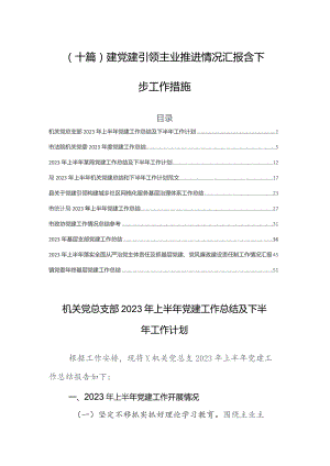 （十篇）建党建引领主业推进情况汇报含下步工作措施.docx