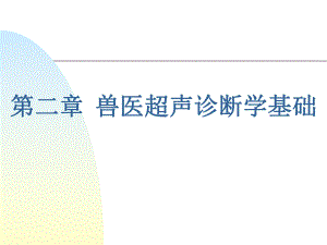 第二章兽医超声诊断..ppt