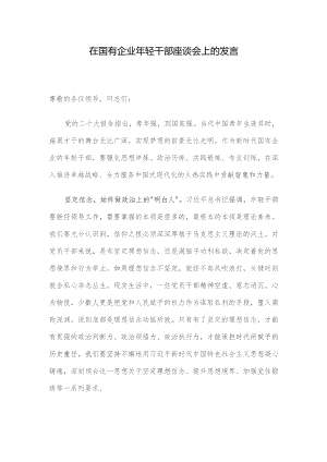 在国有企业年轻干部座谈会上的发言.docx