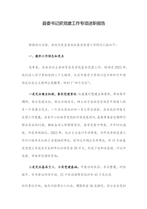 县委书记抓党建工作专项述职报告.docx