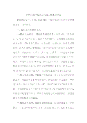 乡镇党委书记基层党建工作述职报告.docx