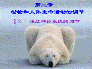 动物和人体生命活动调节.ppt