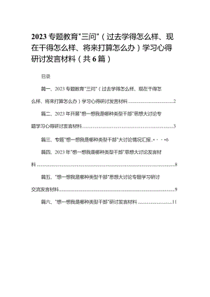 专题教育“三问”（过去学得怎么样、现在干得怎么样、将来打算怎么办）学习心得研讨发言材料【六篇精选】供参考.docx