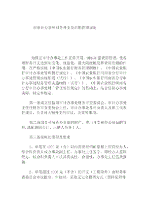 市审计办事处财务开支及后勤管理规定.docx