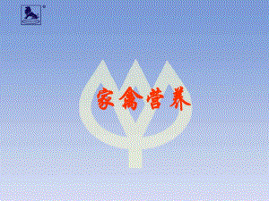 家禽营养.ppt