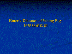 仔猪肠道疾病.ppt