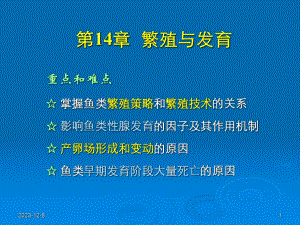 鱼类繁殖与发育.ppt