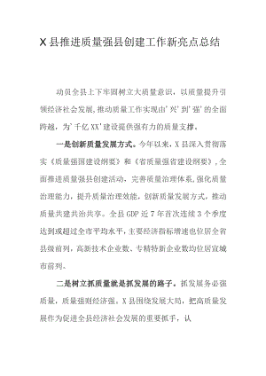 X县推进质量强县创建工作新亮点总结.docx
