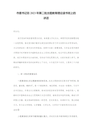 市委书记在2023年第二批主题教育理论读书班上的讲话.docx