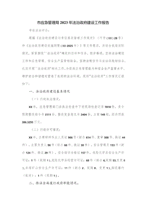 市应急管理局2023年法治政府建设工作报告.docx