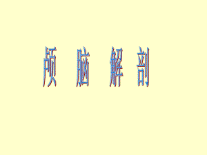 颅脑解剖.ppt.ppt