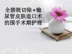全膀胱切除+输尿管皮肤造口术的围手术期护理.ppt
