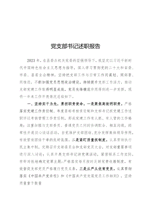 党支部书记述职报告.docx