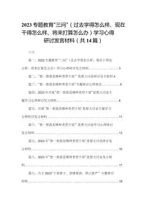 专题教育“三问”（过去学得怎么样、现在干得怎么样、将来打算怎么办）学习心得研讨发言材料14篇供参考.docx