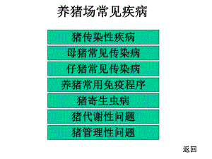 养猪场常见疾病.ppt