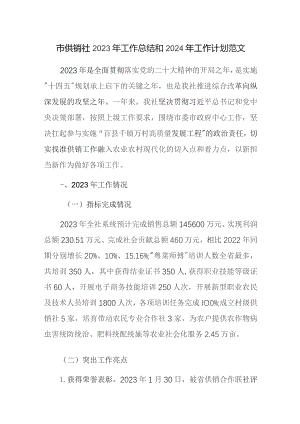 市供销社2023年工作总结和2024年工作计划范文.docx