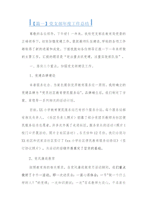 党支部年度工作总结.docx
