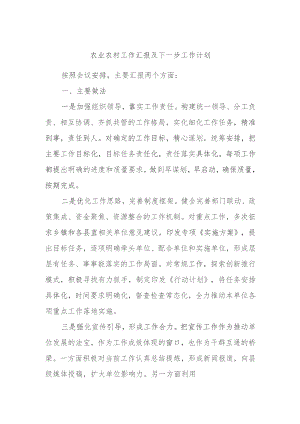 农业农村工作汇报及下一步工作计划.docx