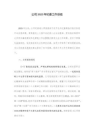 公司2023年纪委工作总结.docx