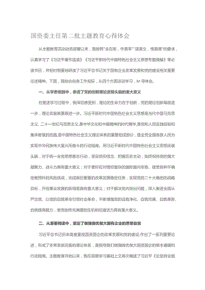 国资委主任第二批主题教育心得体会.docx