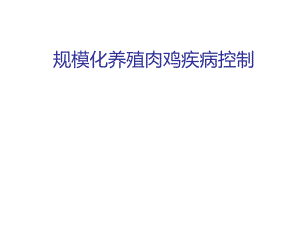 规模化养殖肉鸡疾病控制.ppt