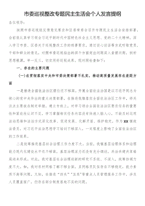 市委巡视整改专题民主生活会个人发言提纲.docx