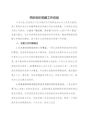 县2023年两新组织党建工作总结.docx