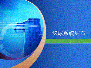 六、泌尿系结石.ppt.ppt