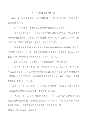 企业23年抓基层党建述职.docx