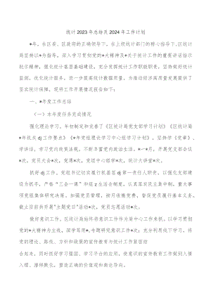 统计2023年总结及2024年工作计划.docx