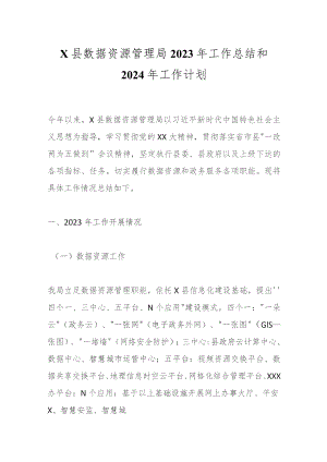 X县数据资源管理局2023年工作总结和2024年工作计划.docx