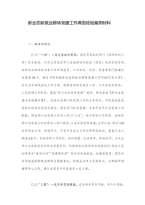 新业态新就业群体党建工作典型经验案例材料.docx