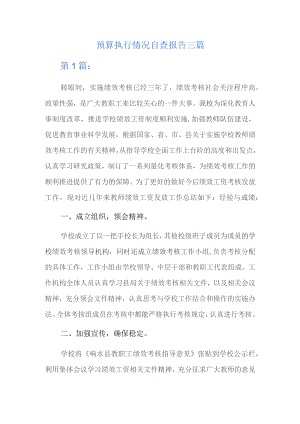 预算执行情况自查报告三篇.docx