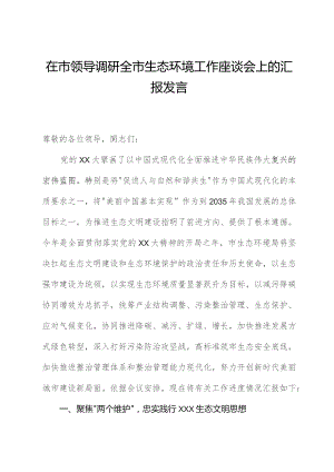 在市领导调研全市生态环境工作座谈会上的汇报发言.docx
