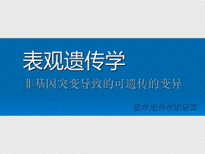 医学表观遗传学非基因突变导致的可遗传的变异.ppt