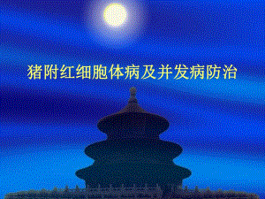 猪附红细胞体病及并发病防治.ppt
