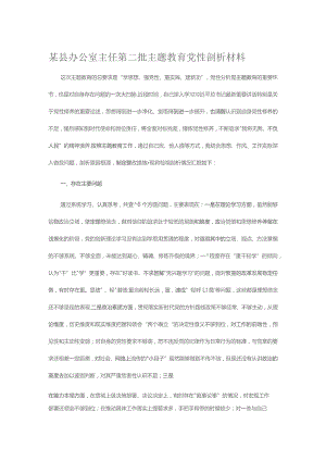 某县办公室主任第二批主题教育党性剖析材料.docx