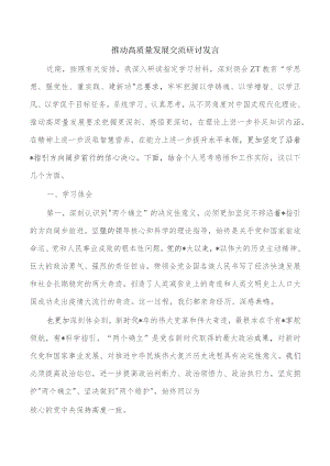 推动高质量发展交流研讨发言.docx