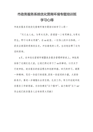 市政务服务系统优化营商环境专题培训班学习心得.docx