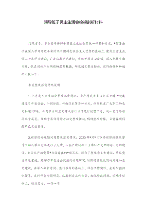 领导班子民主生活会检视剖析材料.docx