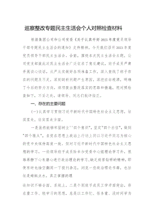 2023巡察整改专题民主生活会个人对照检查材料五篇精选供参考.docx
